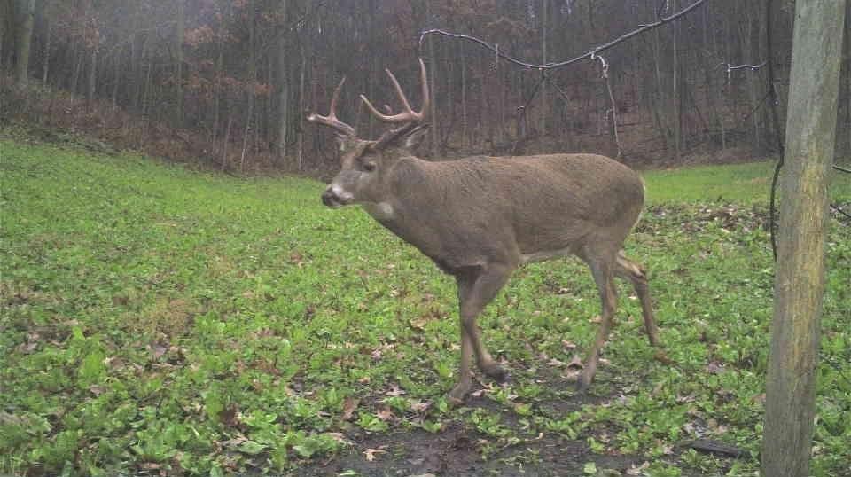 S849 County Road F Nelson, WI 54756 - Photo 18 of 107