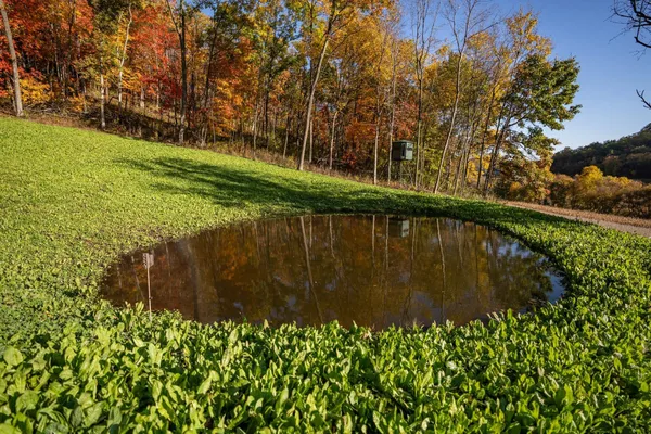 $2,375,000 | S849 County Road F, Nelson, WI 54756