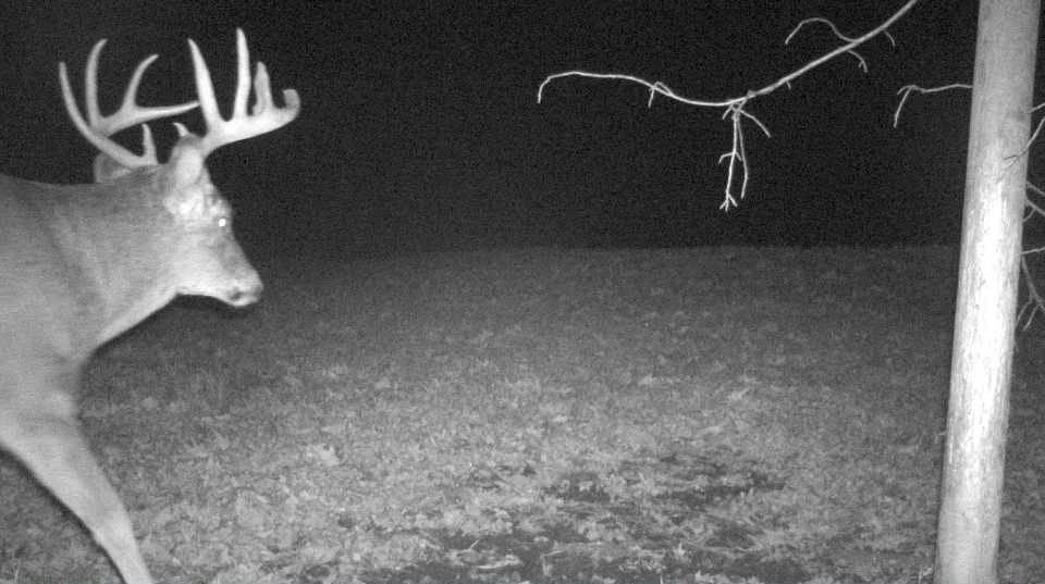 S849 County Road F Nelson, WI 54756 - Photo 20 of 107