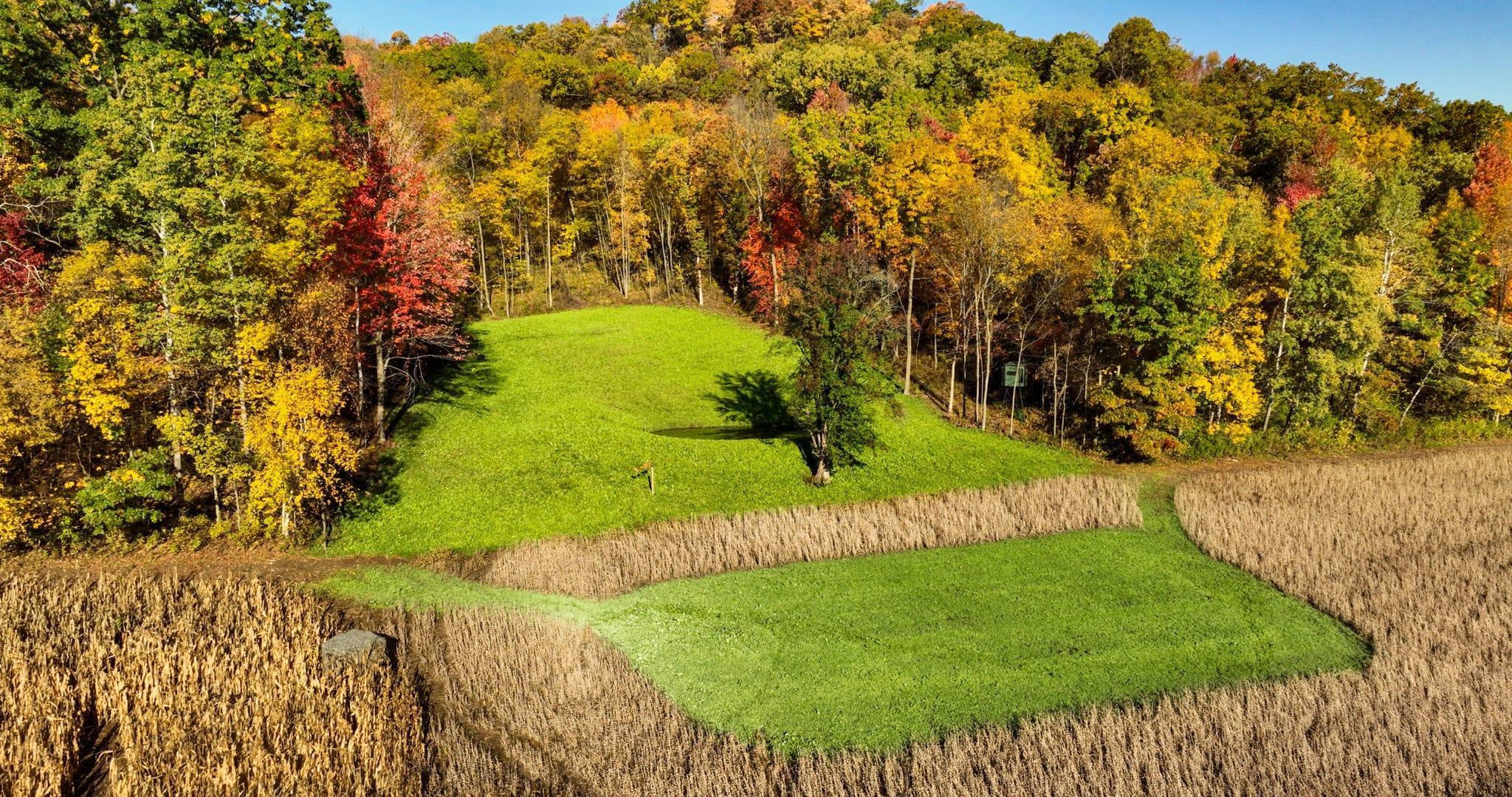 S849 County Road F Nelson, WI 54756 - Photo 2 of 107