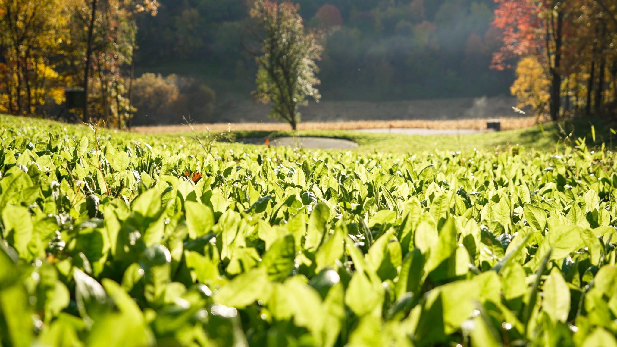 S849 County Road F Nelson, WI 54756 - Photo 22 of 107
