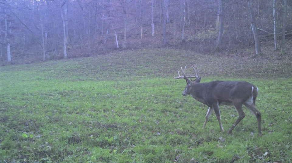 S849 County Road F Nelson, WI 54756 - Photo 23 of 107