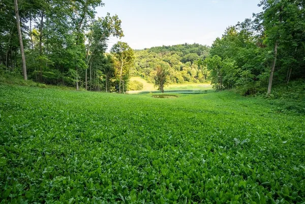 $2,375,000 | S849 County Road F, Nelson, WI 54756