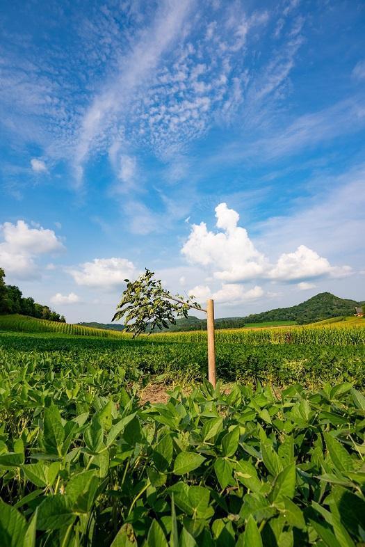 S849 County Road F Nelson, WI 54756 - Photo 27 of 107