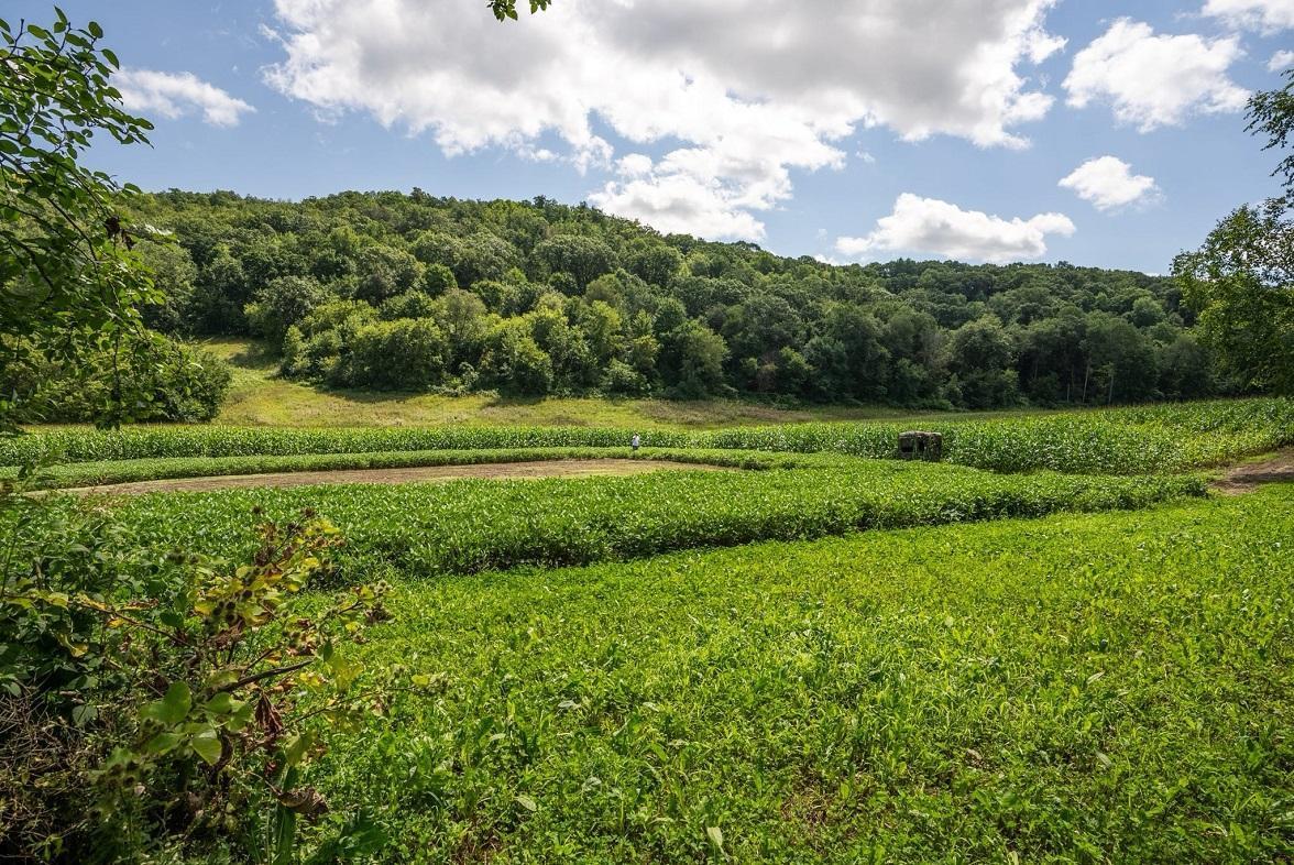 S849 County Road F Nelson, WI 54756 - Photo 30 of 107