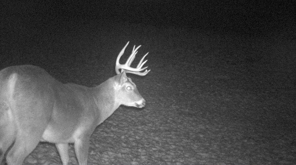 S849 County Road F Nelson, WI 54756 - Photo 31 of 107