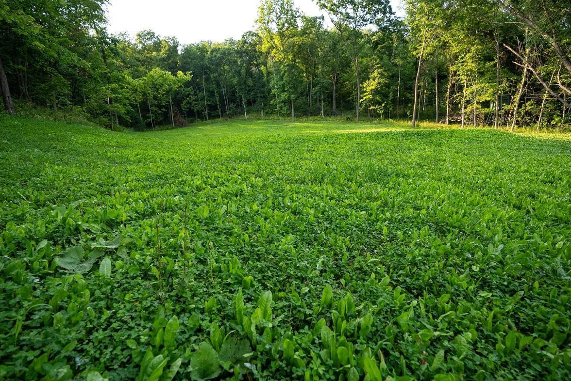 S849 County Road F Nelson, WI 54756 - Photo 34 of 107