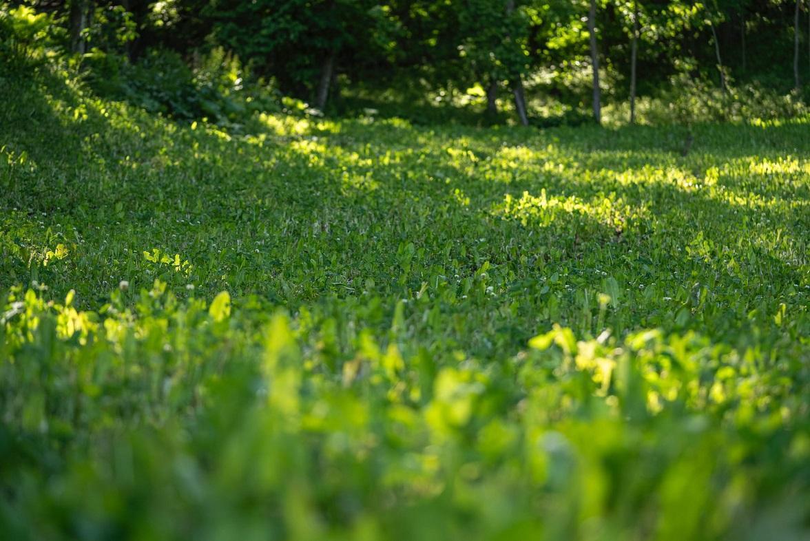 S849 County Road F Nelson, WI 54756 - Photo 37 of 107