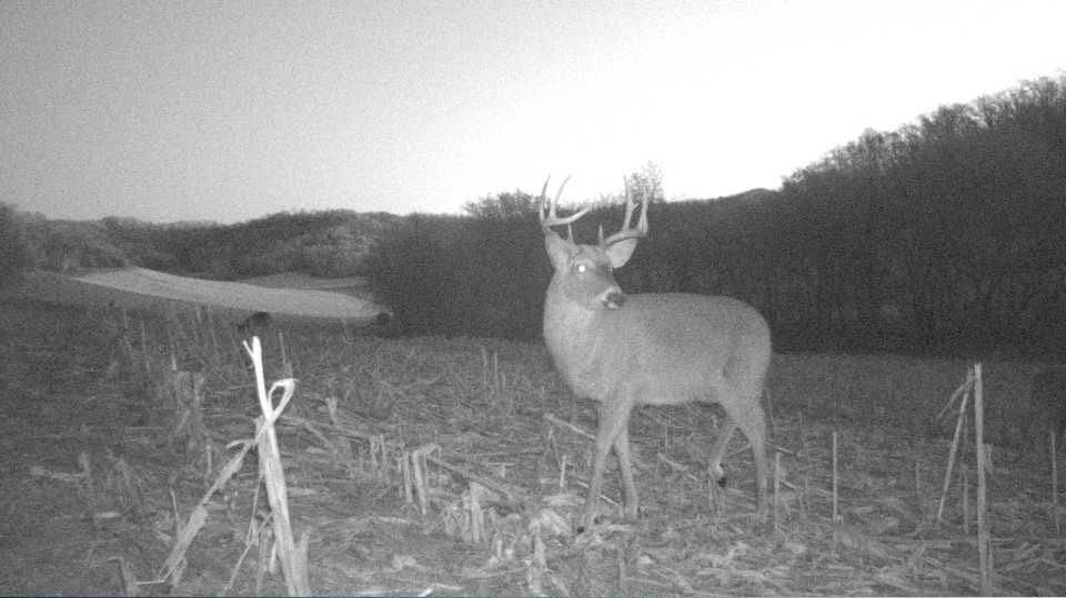 S849 County Road F Nelson, WI 54756 - Photo 38 of 107