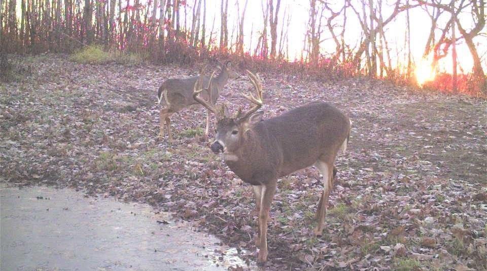 S849 County Road F Nelson, WI 54756 - Photo 40 of 107