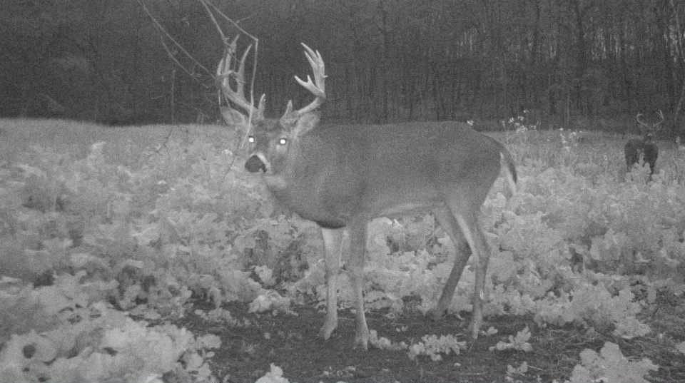 S849 County Road F Nelson, WI 54756 - Photo 42 of 107