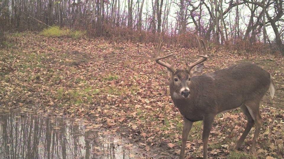 S849 County Road F Nelson, WI 54756 - Photo 44 of 107