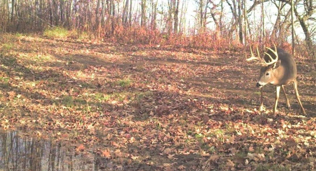 S849 County Road F Nelson, WI 54756 - Photo 46 of 107