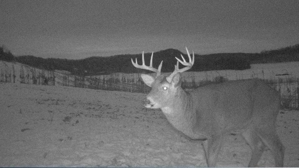 S849 County Road F Nelson, WI 54756 - Photo 48 of 107