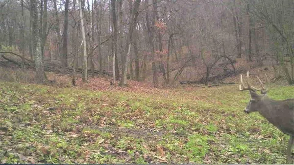 $2,375,000 | S849 County Road F, Nelson, WI 54756