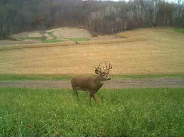 $2,375,000 | S849 County Road F, Nelson, WI 54756