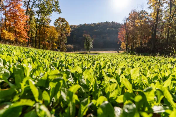 $2,375,000 | S849 County Road F, Nelson, WI 54756