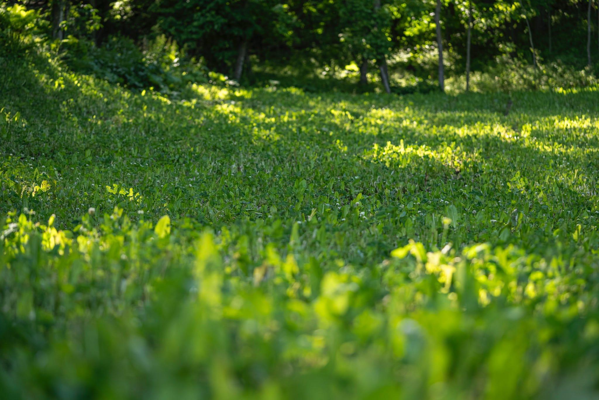 S849 County Road F Nelson, WI 54756 - Photo 7 of 107