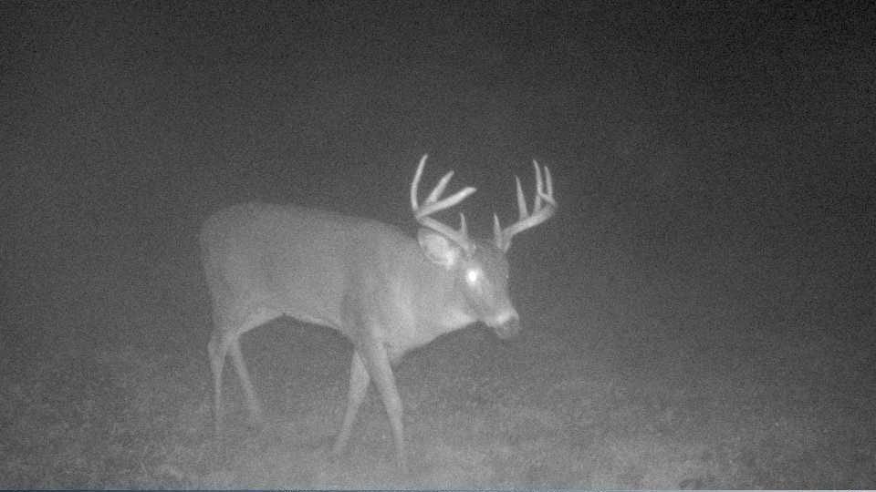 S849 County Road F Nelson, WI 54756 - Photo 9 of 107