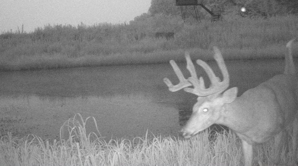 S849 County Road F Nelson, WI 54756 - Photo 96 of 107