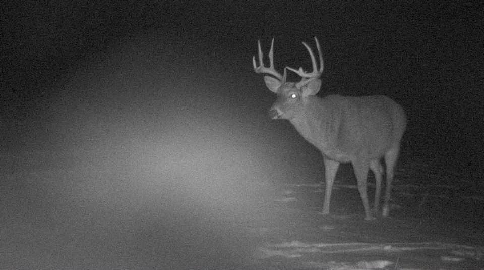 S849 County Road F Nelson, WI 54756 - Photo 97 of 107