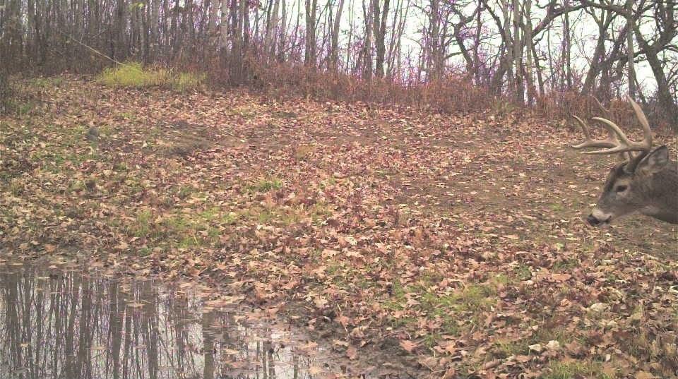 S849 County Road F Nelson, WI 54756 - Photo 98 of 107