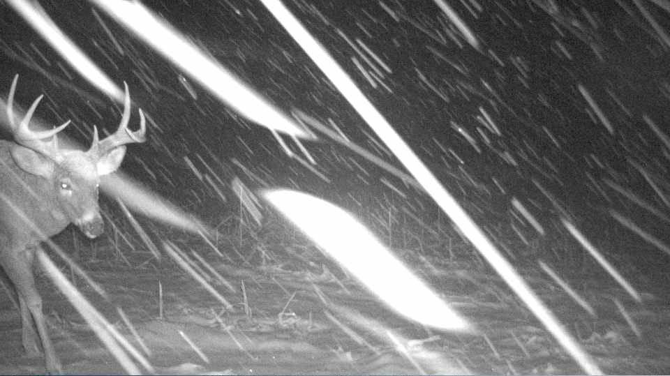 S849 County Road F Nelson, WI 54756 - Photo 99 of 107