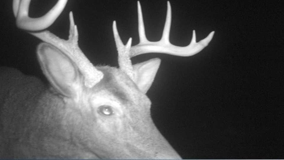 S849 County Road F Nelson, WI 54756 - Photo 100 of 107