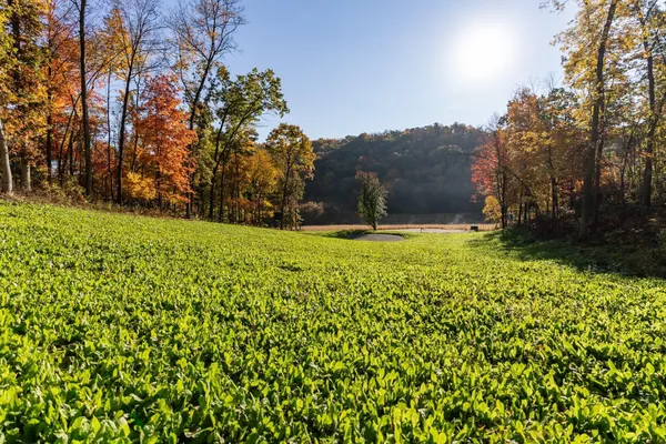 $2,375,000 | S849 County Road F, Nelson, WI 54756