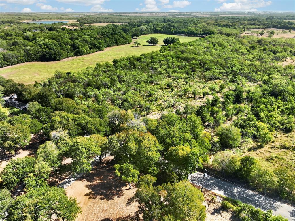 0 Novy Road Ennis, TX 75119 - Photo 19 of 25 Expansive acreage featuring mature trees and open clearings