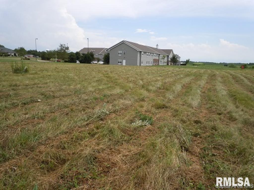 17 Highway 17 Aledo, IL 61231 - Photo 3 of 6