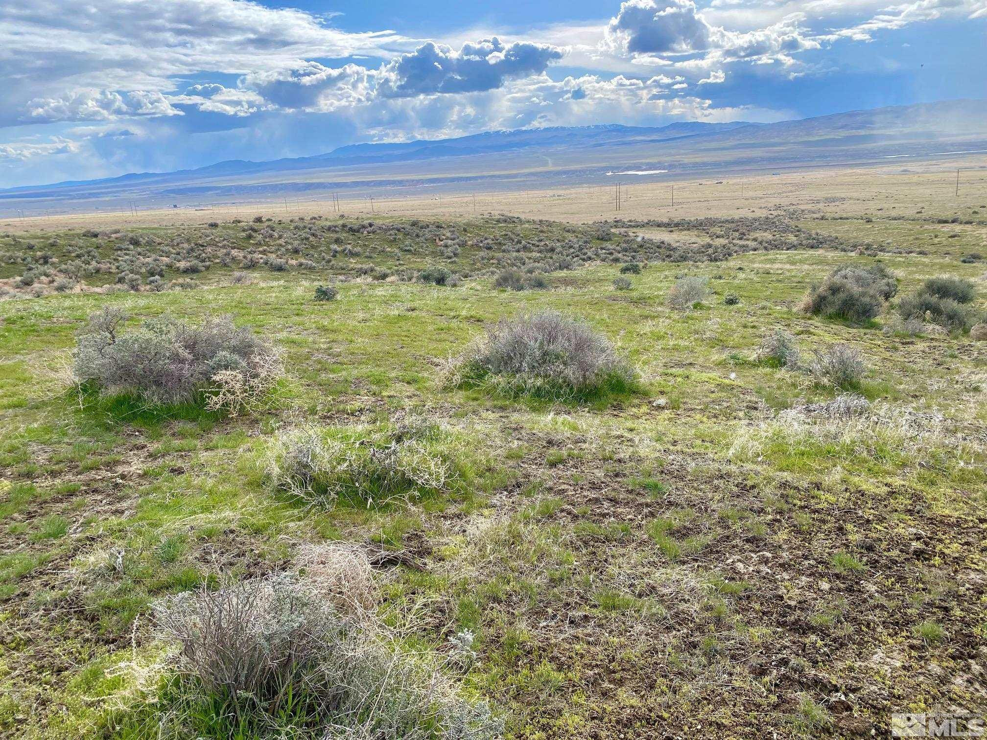 11555 Brooks Canyon Road Lovelock, NV 89419 - Photo 13 of 27