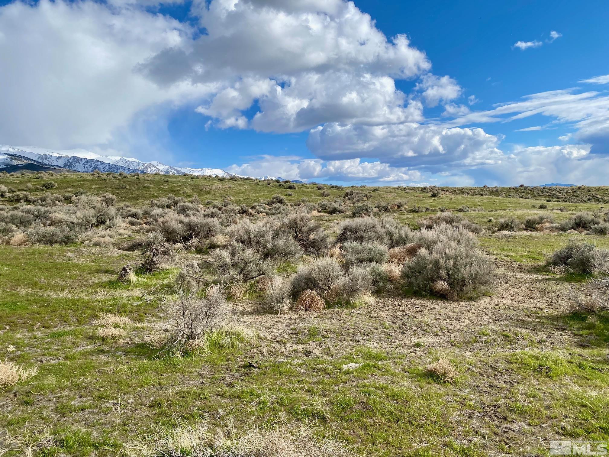11555 Brooks Canyon Road Lovelock, NV 89419 - Photo 3 of 27 a view of a bunch of trees and houses