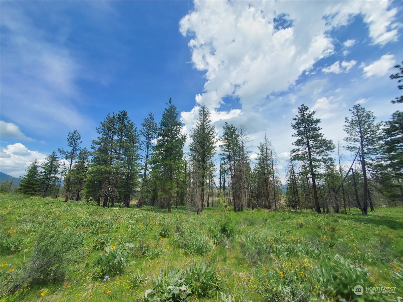 -tbd Tbd Landers Road Malott, WA 98829 - Photo 11 of 39 Gallery Image 11