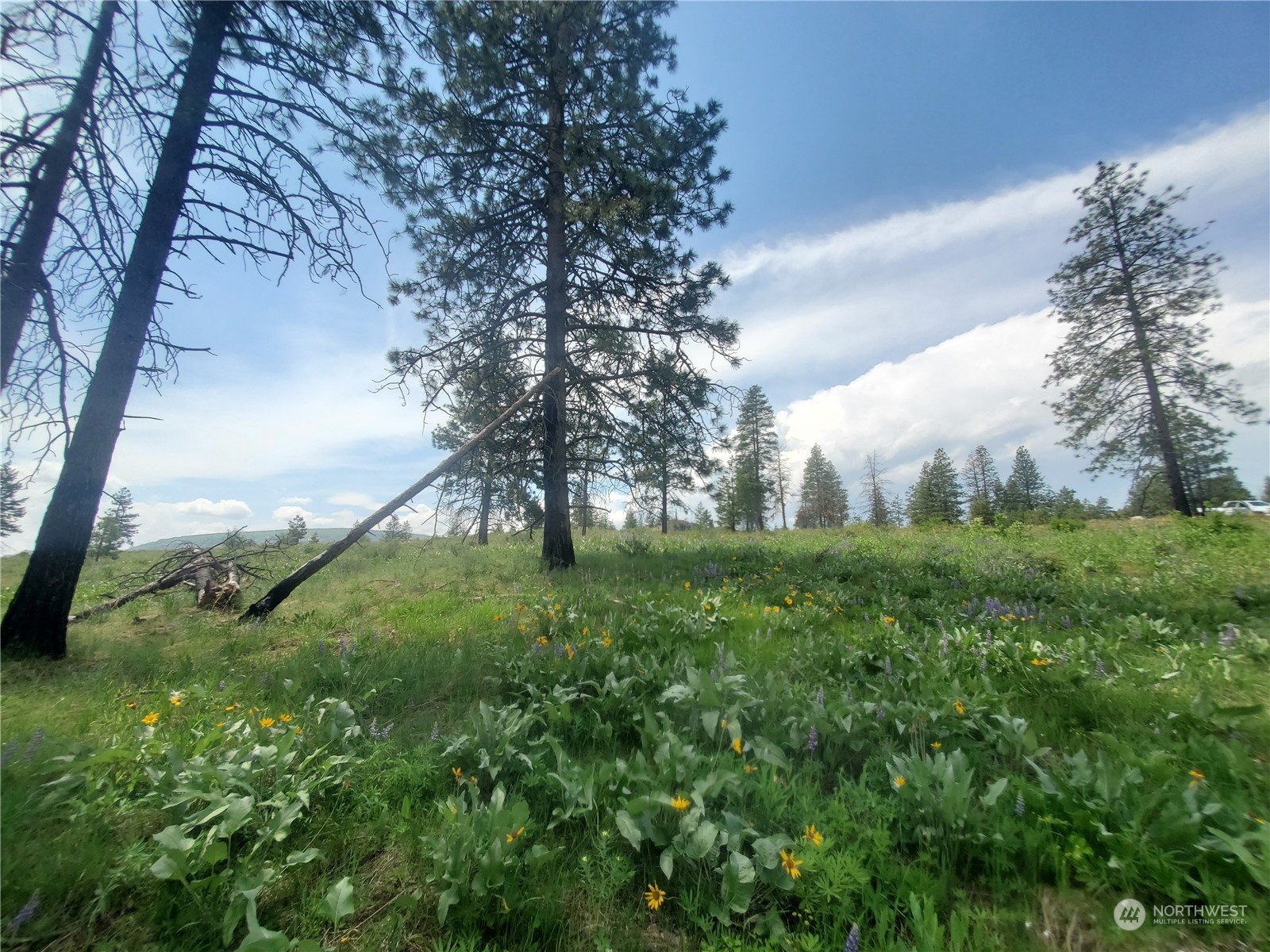 -tbd Tbd Landers Road Malott, WA 98829 - Photo 13 of 39 Gallery Image 13