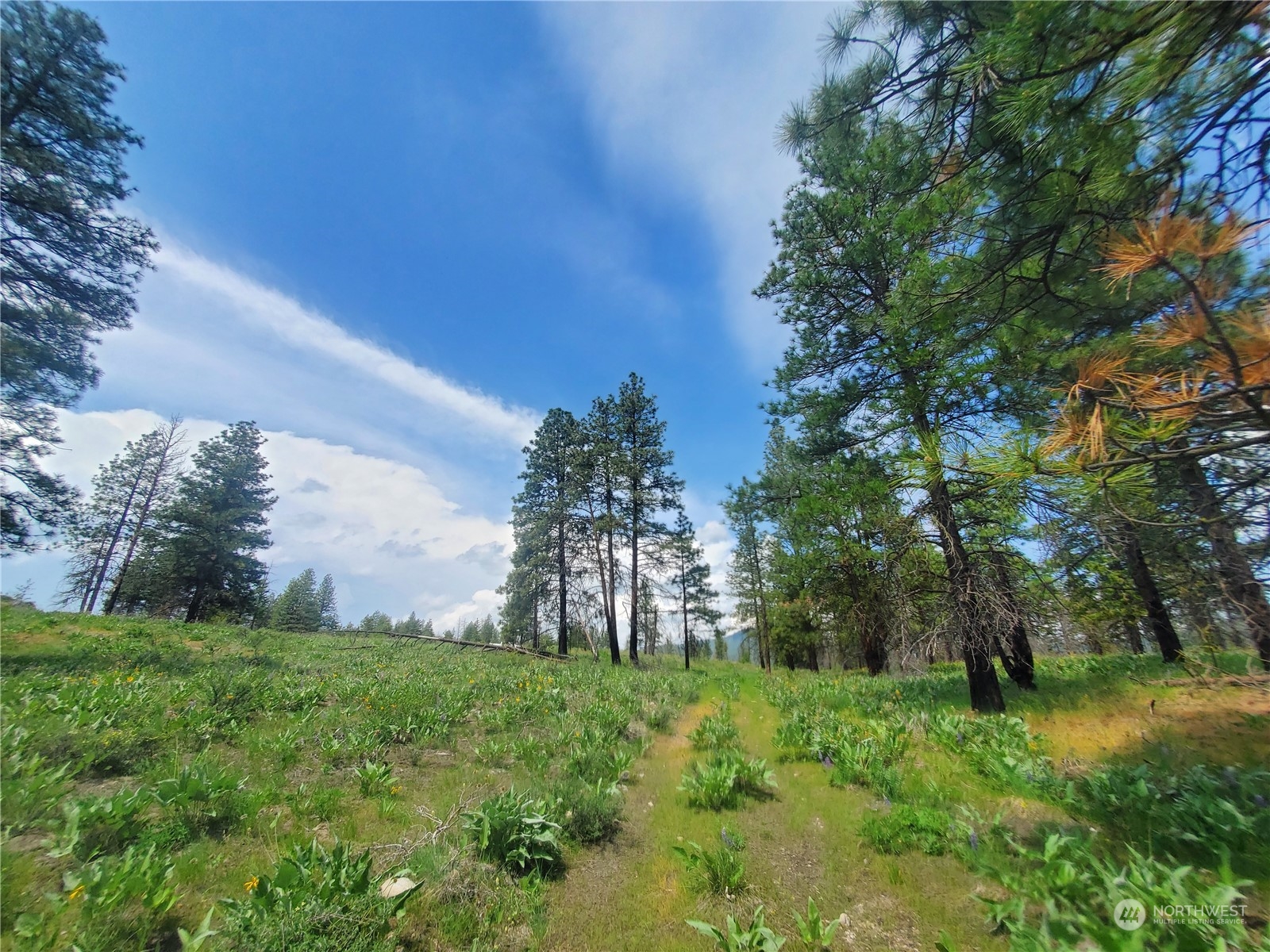 -tbd Tbd Landers Road Malott, WA 98829 - Photo 14 of 39 Gallery Image 14