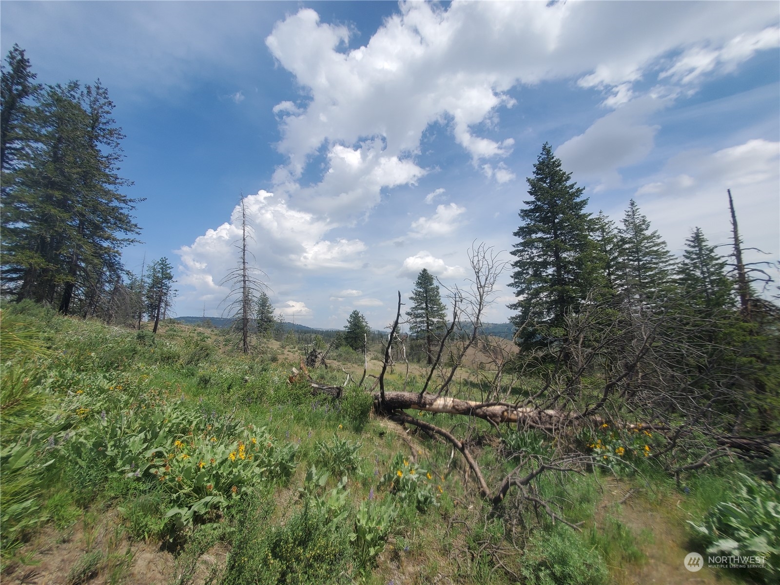 -tbd Tbd Landers Road Malott, WA 98829 - Photo 15 of 39 Gallery Image 15