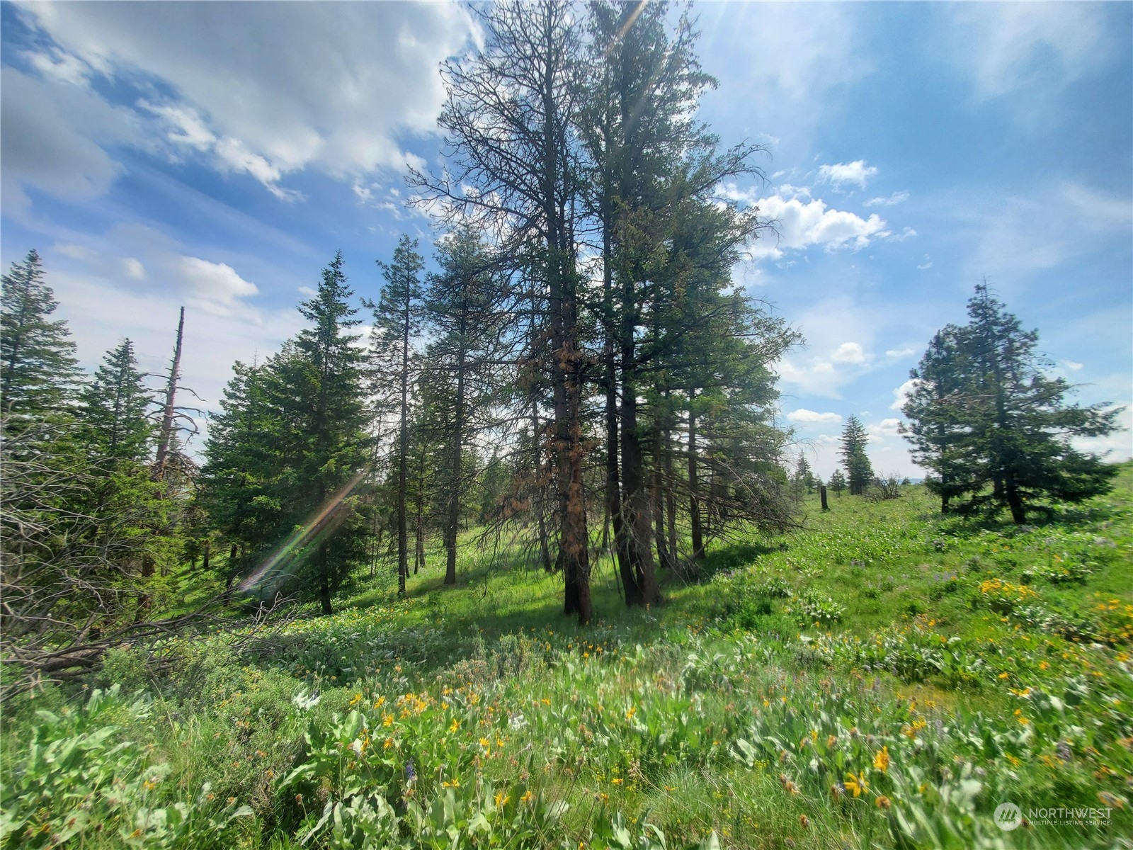 -tbd Tbd Landers Road Malott, WA 98829 - Photo 16 of 39 Gallery Image 16