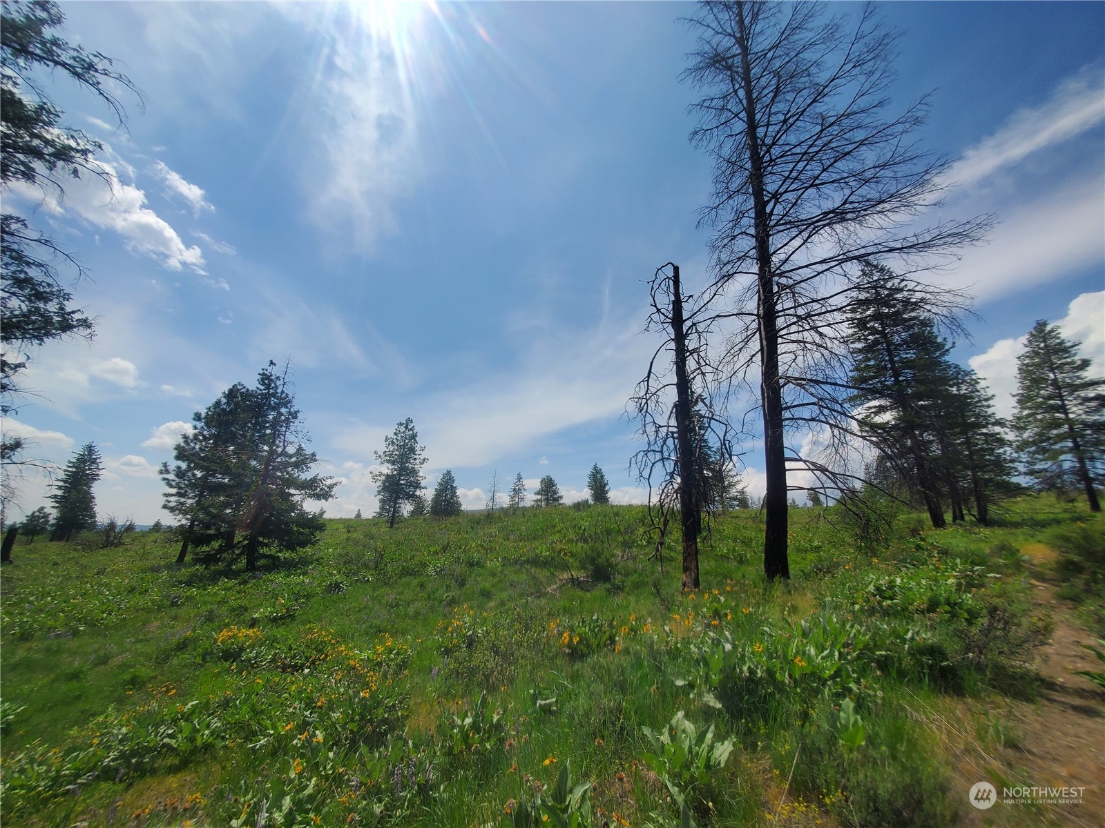 -tbd Tbd Landers Road Malott, WA 98829 - Photo 17 of 39 Gallery Image 17