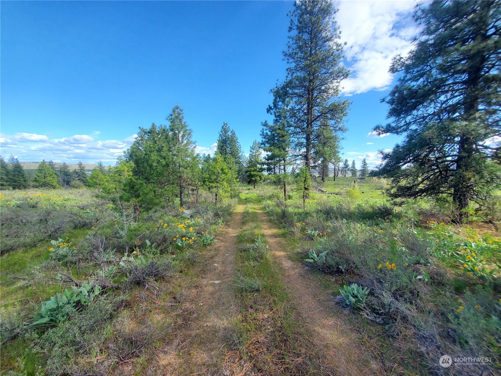 -tbd Tbd Landers Road Malott, WA 98829 - Photo 19 of 39 Gallery Image 19