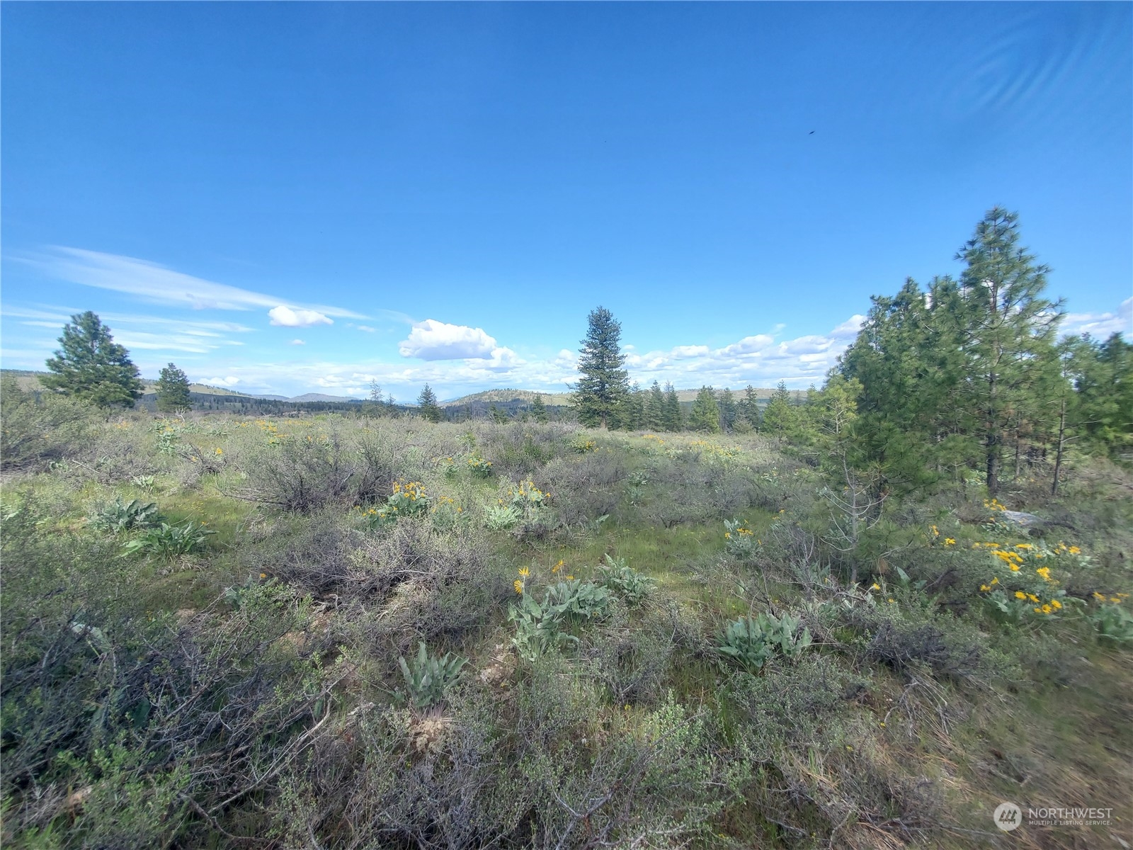 -tbd Tbd Landers Road Malott, WA 98829 - Photo 20 of 39 Gallery Image 20