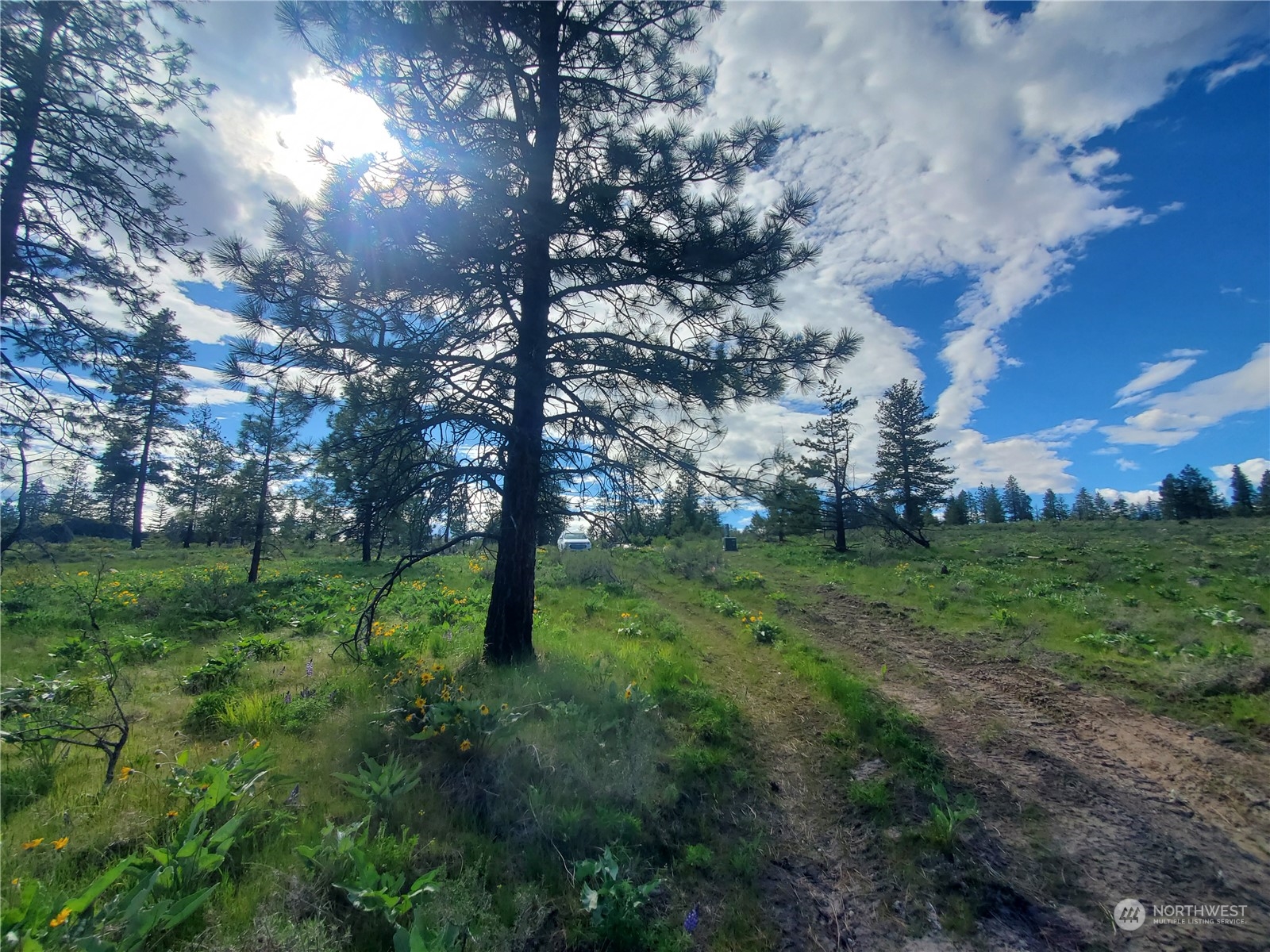 -tbd Tbd Landers Road Malott, WA 98829 - Photo 22 of 39 Gallery Image 22