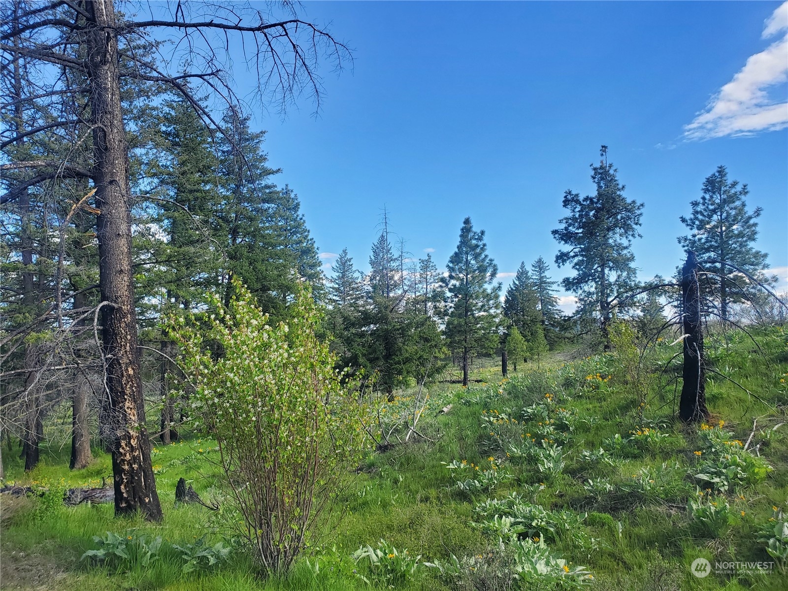 -tbd Tbd Landers Road Malott, WA 98829 - Photo 25 of 39 Gallery Image 25