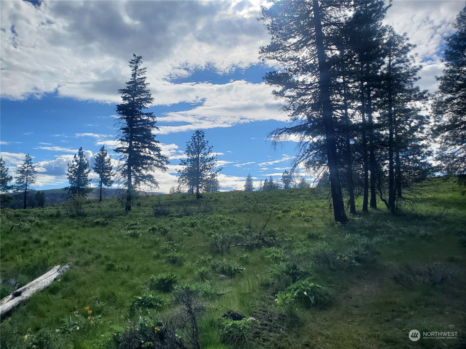 -tbd Tbd Landers Road Malott, WA 98829 - Photo 26 of 39 Gallery Image 26