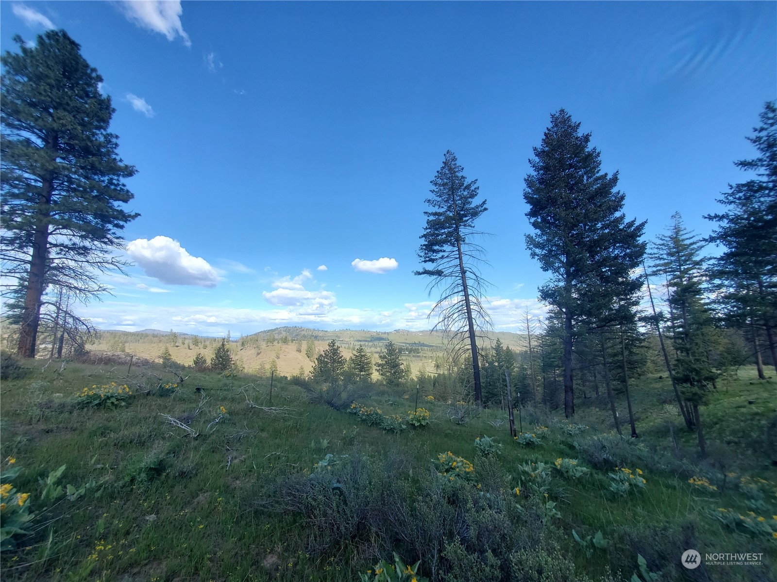 -tbd Tbd Landers Road Malott, WA 98829 - Photo 28 of 39 Gallery Image 28