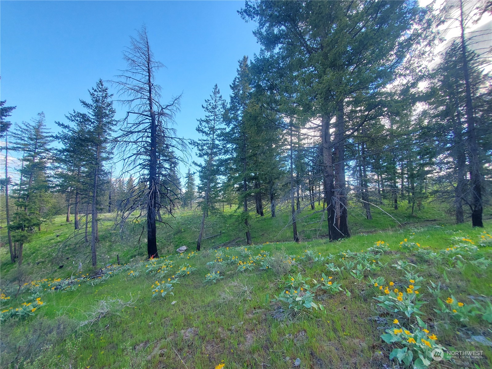 -tbd Tbd Landers Road Malott, WA 98829 - Photo 29 of 39 Gallery Image 29