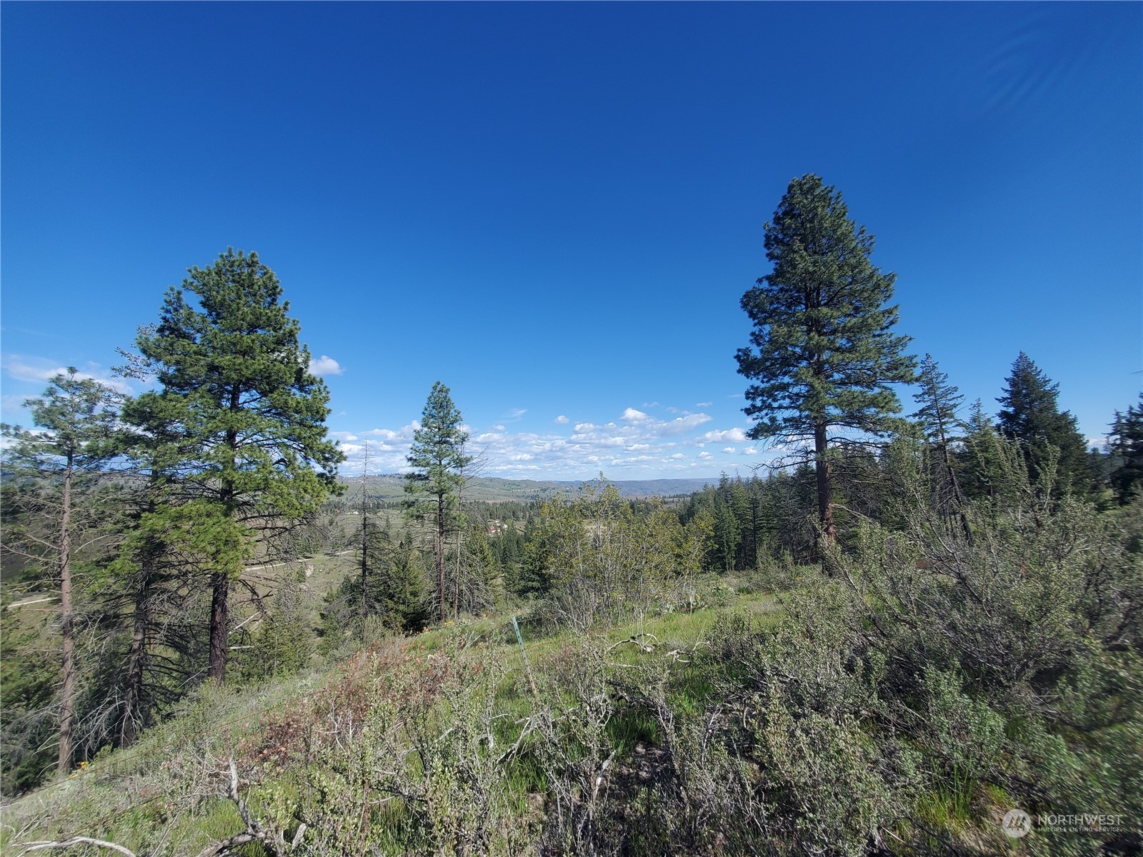 -tbd Tbd Landers Road Malott, WA 98829 - Photo 30 of 39 Gallery Image 30