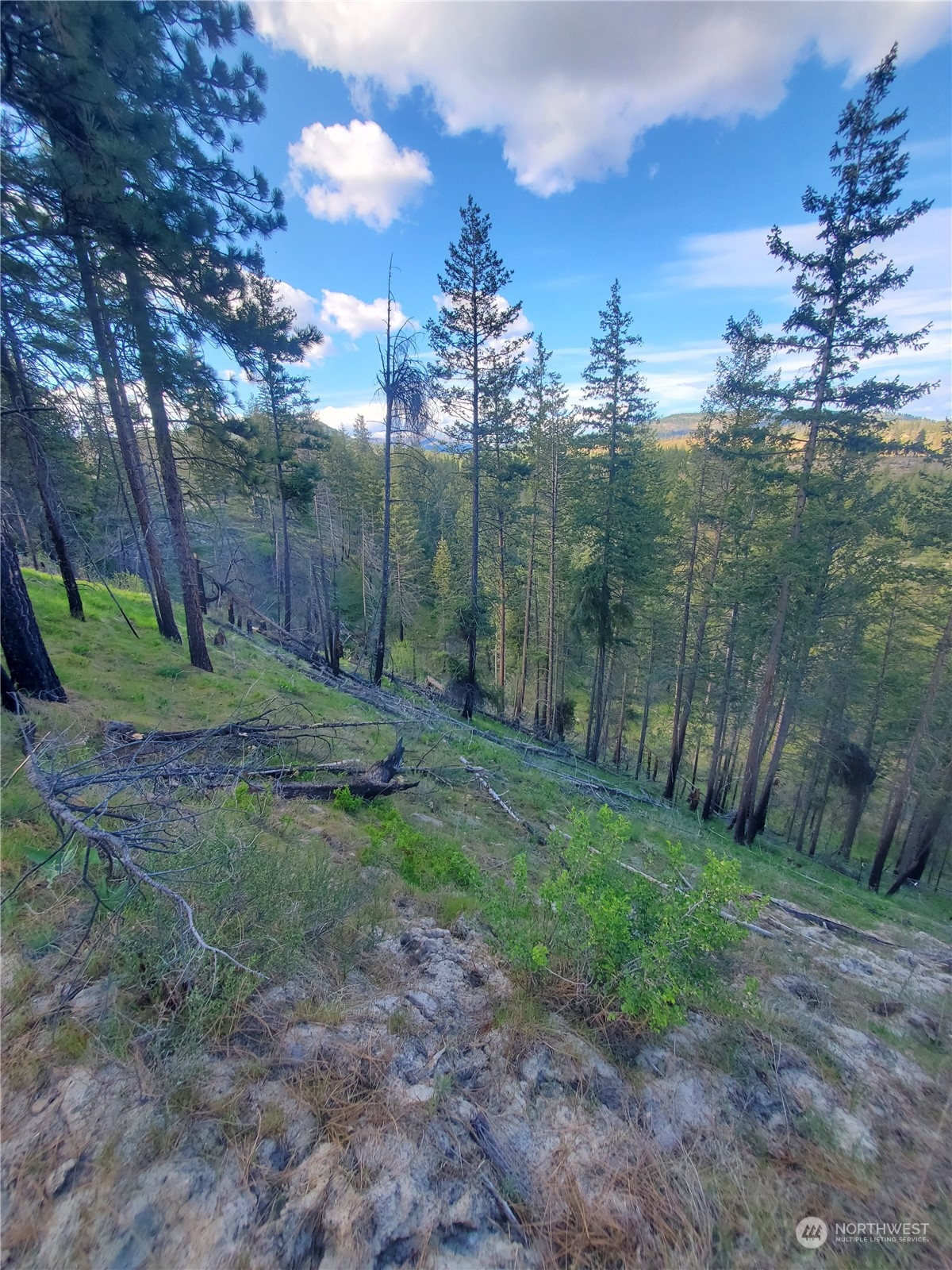 -tbd Tbd Landers Road Malott, WA 98829 - Photo 31 of 39 Gallery Image 31