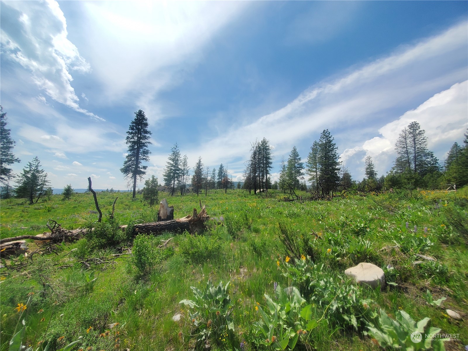 -tbd Tbd Landers Road Malott, WA 98829 - Photo 10 of 39 Gallery Image 10