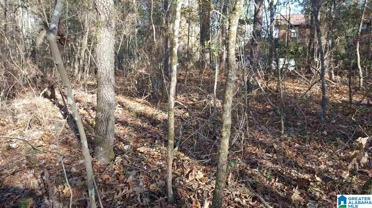 0 Haven Circle, Unit 39 Riverside, AL 35135 - Photo 9 of 32